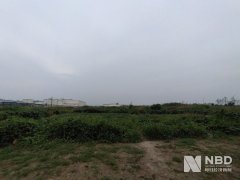 yondMeat也正在肯德基、必胜客、塔科贝尔中推出限